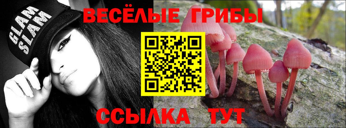 Псилоцибиновые грибы мицелий Свободный