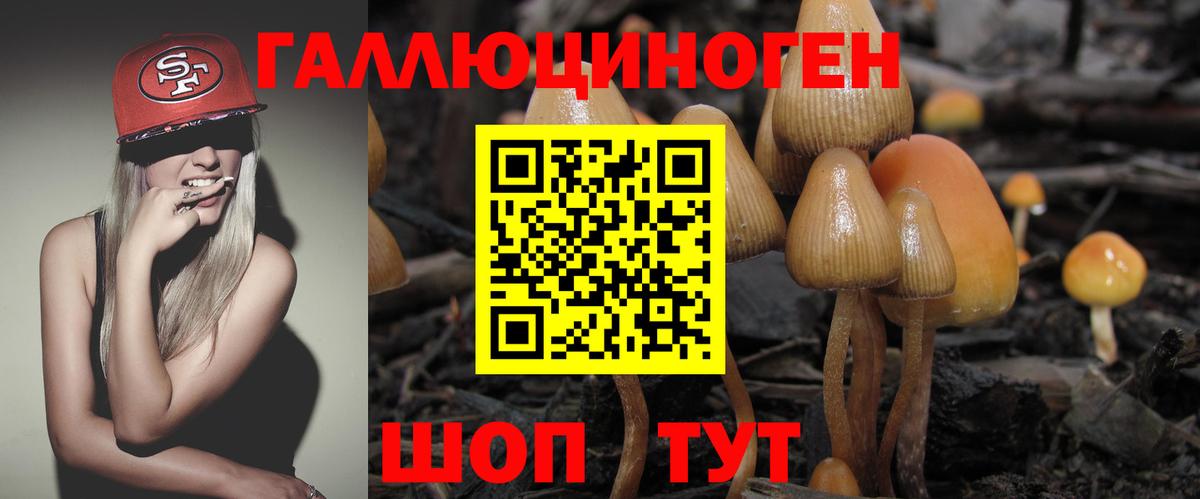Псилоцибиновые грибы ЛСД  Вход с VPN  Свободный 